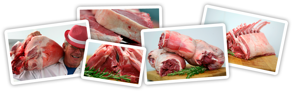 Stud Farm Meats | Lamb, Beef & Pork